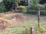 Land for Sale in Ragama, Walpola