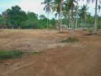 Land for Sale in Raigama