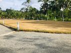 Land for Sale in Raigama