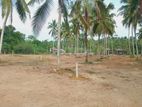Land for sale in Raigama junction