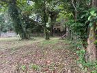 Land for Sale in Rajagiriya Buthgamuwa Road