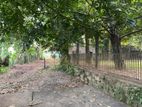 Land for Sale in Rajagiriya