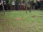 Land for Sale in Rajagiriya
