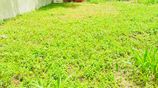 Land for Sale in Rajagiriya