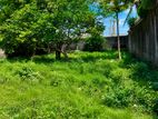 Land for Sale in Rajagiriya
