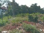 Land For Sale in Rajagiriya