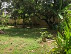 Land For Sale In Rajagiriya road, - 2635