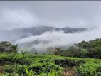 Land for Sale in Rakwana