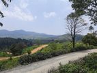 Land for sale in Ramboda