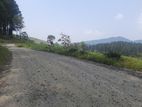 Land for Sale in Ramboda
