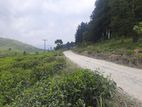 Land for Sale in Ramboda