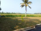 Land for Sale in Rambukkana