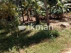 Land for Sale in Rambukkana