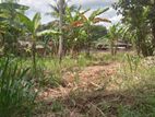 Land for Sale in Rambukkana