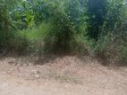 Land for Sale in Rambukkana