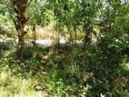 Land for sale in Rambukkana Kegalle