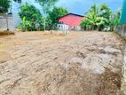 Land for Sale in Ranala