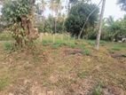 Land for Sale in Ranawiru mw, Kadawatha