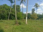 Land for Sale in Rangama