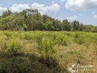 Land for sale in Ranminithenna