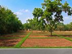 Land For Sale in Ranna 🤩