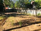 Land for Sale in Ranna, Tangalle (Sisil Uyana)