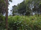 Land for sale in Ranpokunagama