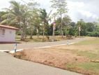 Land for Sale in Rathgama