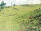 Land for Sale in Rathgama