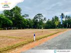 Land For Sale In Rathkarawwa