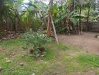 Land for sale in Rathmalana 350 m to galle road