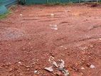 Land for Sale in Rathmalana-355