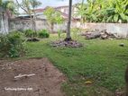 Land For Sale In Rathmalana - CL759