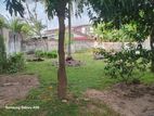 Land For Sale In Rathmalana - CL759