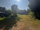 Land For Sale In Rathmalana - CL824