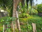 Land for Sale in Rathmalana