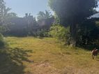 Land for sale in Rathmalana
