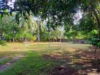 Land For Sale In Rathmalana Kaldemulla