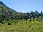 Land for Sale in Rathmalgama.