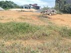 Land for Sale in Rathnapura