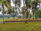 Land for Sale in Rathnapura