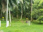 Land for sale in Rathnapura