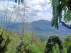 Land for Sale in Rathnapura