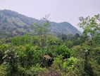 Land for sale in Rathnapura / SA 6720