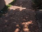 Land For Sale In Raththanapitiya