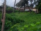 Land For Sale In Raththanapitiya
