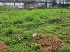 Land for Sale in Ratmalana (c7-5188)