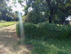 Land for Sale in Ratmalana