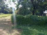 Land for Sale in Ratmalana