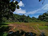 Land for Sale in Ratnapura City
